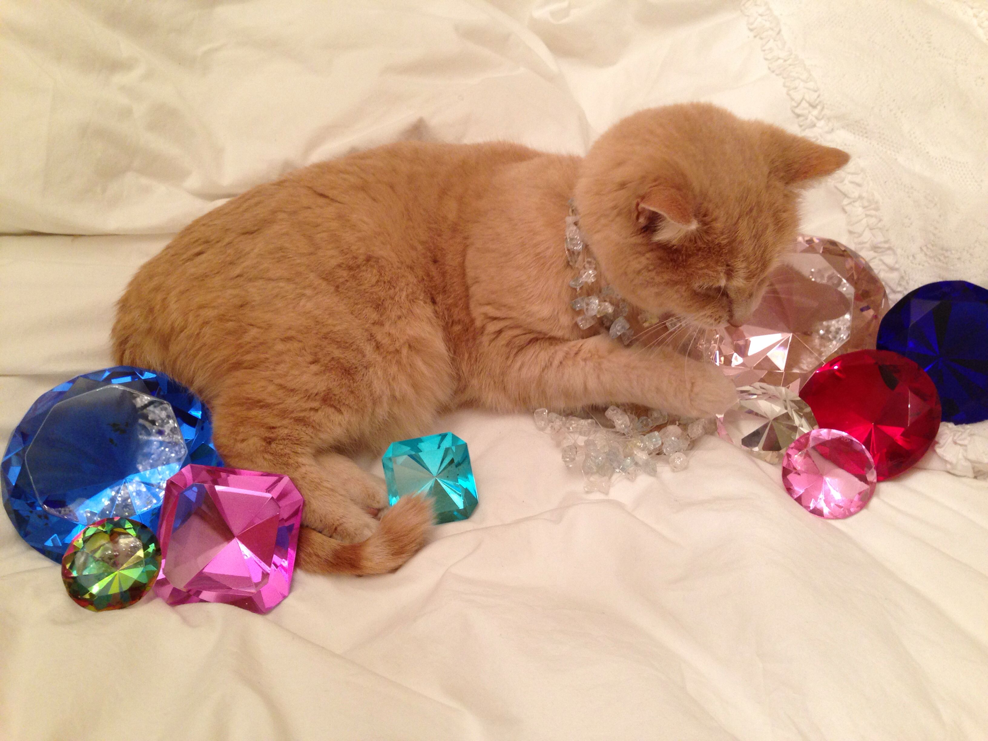 Katt diamonds
