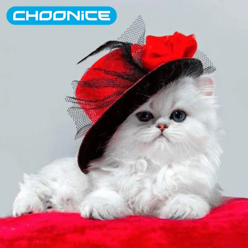 CAT DIAMOND - YouTube
